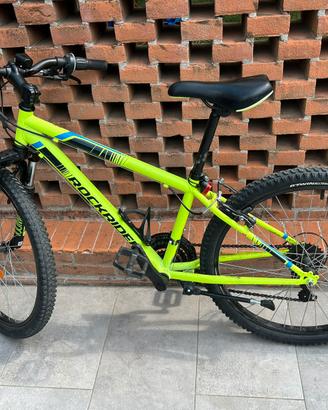 Bici 24