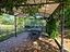 Immagine 26