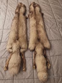 due stole di volpe argentata 