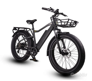 Bicicletta elettrica Fat xtutti i tipi di terreno