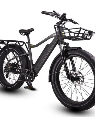 Bicicletta elettrica Fat xtutti i tipi di terreno