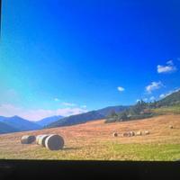 Grazioso e rilassante appartamento