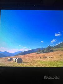 Grazioso e rilassante appartamento