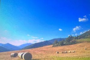 Grazioso e rilassante appartamento