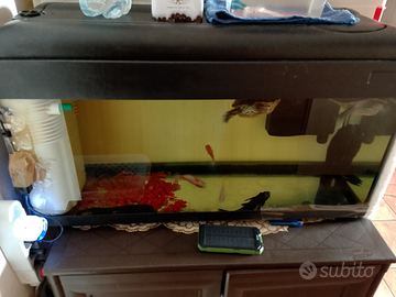 Acquario di 90Lt con. Due. Filtri in terni