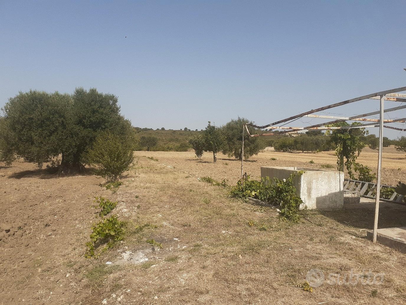 terreno edificabile - Vista 5