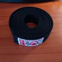 Cintura nera arti marziali 