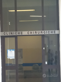 Assistenza ospedaliera 6,00