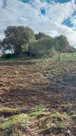 Terreno a 600 metri dal mare