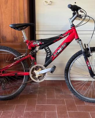 Bici mountain bike per bambini