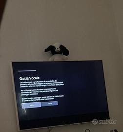 TV SKY GLASS 43 pollici