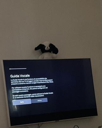TV SKY GLASS 43 pollici