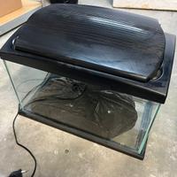 Acquario 30 litri completo di accessori