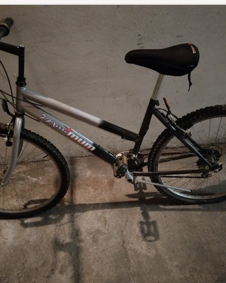 Bicicletta