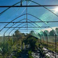 serra per orto tecnologico