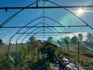 serra per orto tecnologico