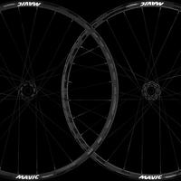 Coppia ruote Mavic Deemax  DH 29