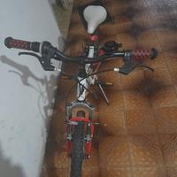 bici bimbo raggio 20