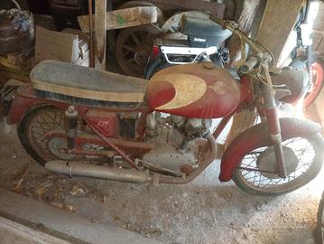 Ducati 175 Turismo Targa Libretto Anni 50