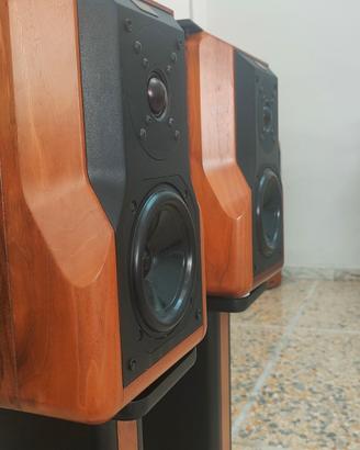 Chario Accademy 1 