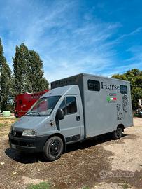Van cavalli ,Patente B,selleria, 2 posti 