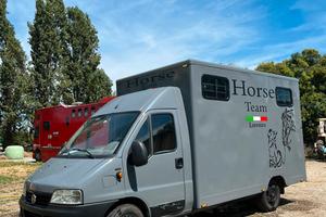 Van cavalli ,Patente B,selleria, 2 posti 