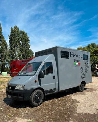 Van cavalli ,Patente B,selleria, 2 posti 