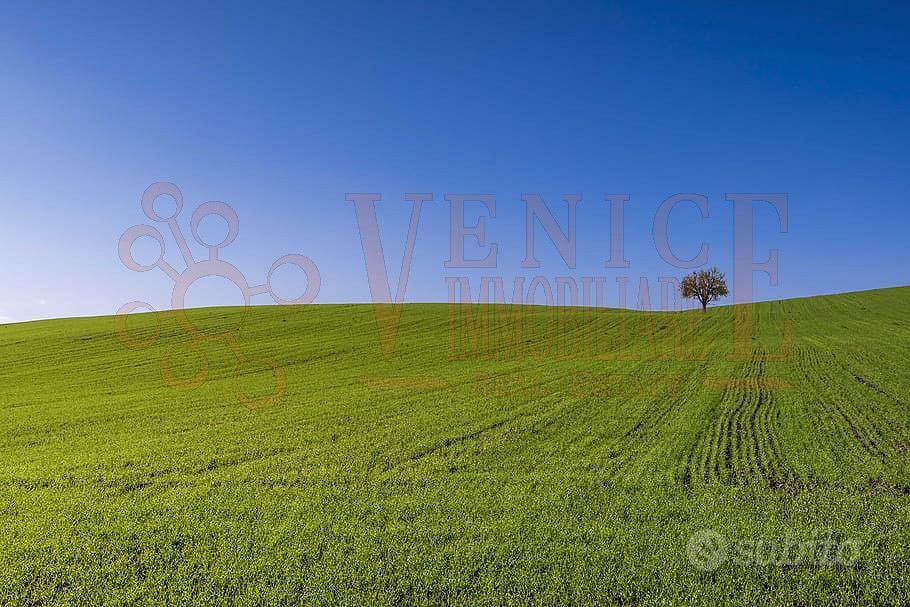 Terreno edificabile Camponogara - Vista 2