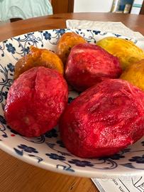 Mango, fichi e fichi d’india di casa