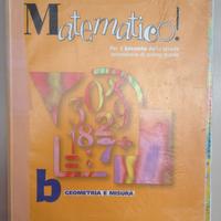 Libro di Matematica (volume b)