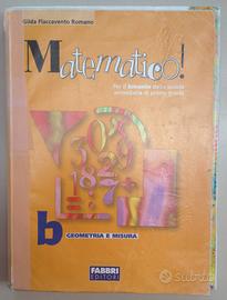 Libro di Matematica (volume b)