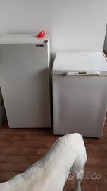frigorifero e freezer 