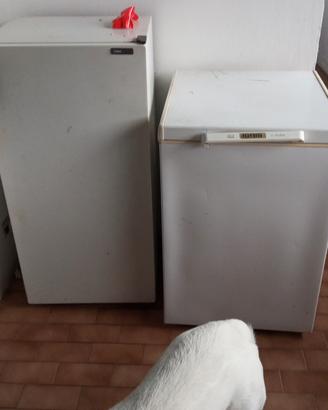 frigorifero e freezer 