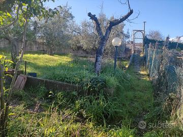 terreno con piccola casetta prefabbricata 