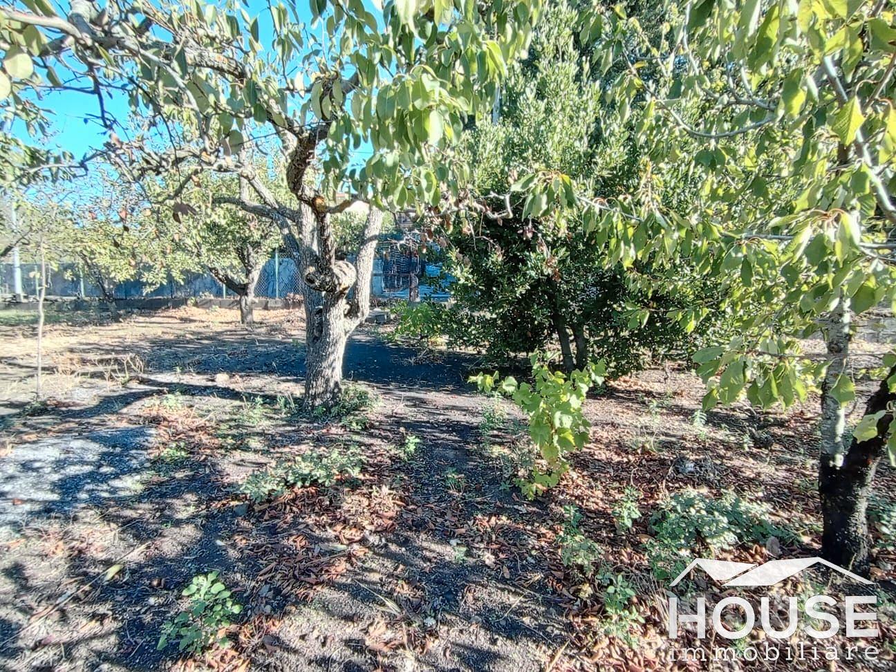 RAGALNA – TERRENO EDIFICABILE ID: PRA135T - Vista 2