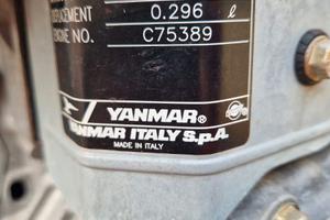 Motocoltivatore A DIESEL