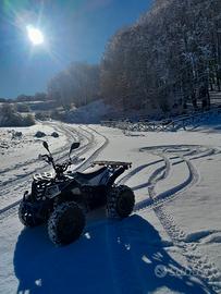 Altro Altro modello - 2023