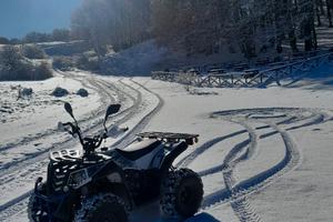 Altro Altro modello - 2023