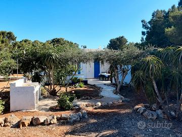 Villa Debora Favignana 
