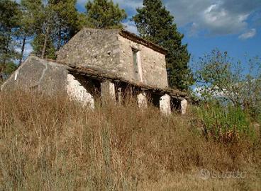 Casa Indipendente Pico [744VRG]