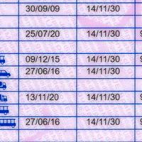 Autista Patente CE-DE CQC, Prima occupazione
