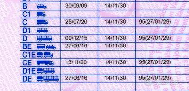 Autista Patente CE-DE CQC