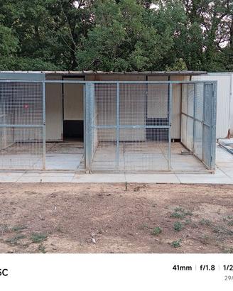 Box coibentati per cani