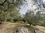Immagine 16