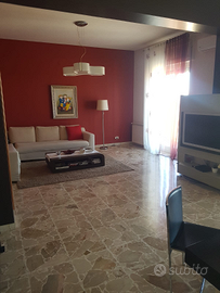 Ampio e luminoso appartamento