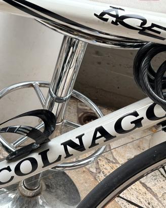 Bici colnago taglia S