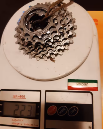 pignoni campagnolo