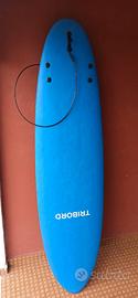 TAVOLA SURF TRIBORD