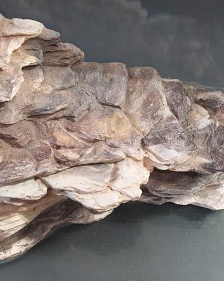 acquario per tartaruga 