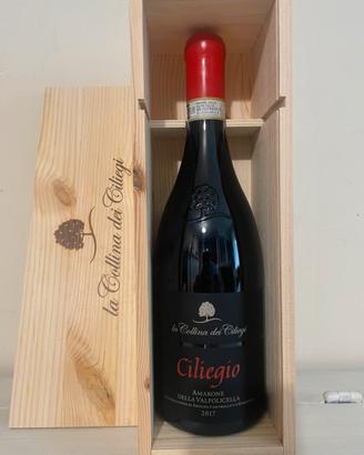 Amarone della Valpolicella DOCG 2017